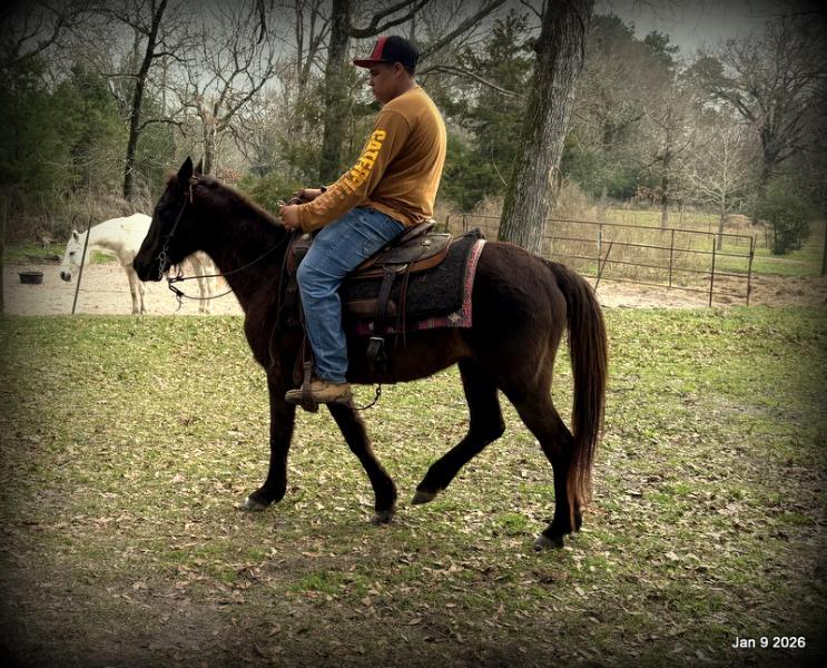 🩷❤️Pixie🩷❤️