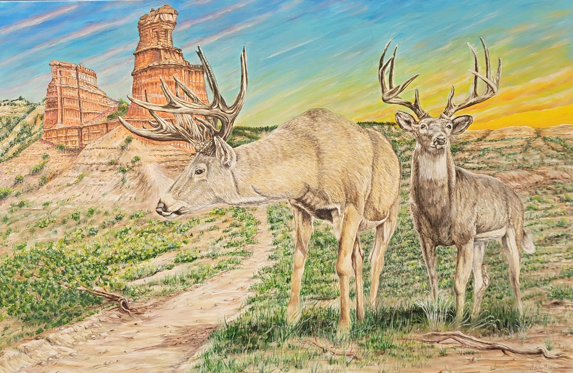 Palo Duro Bucks