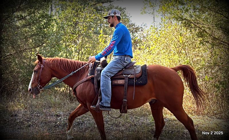 💚Ranger Safe for All Ages💚