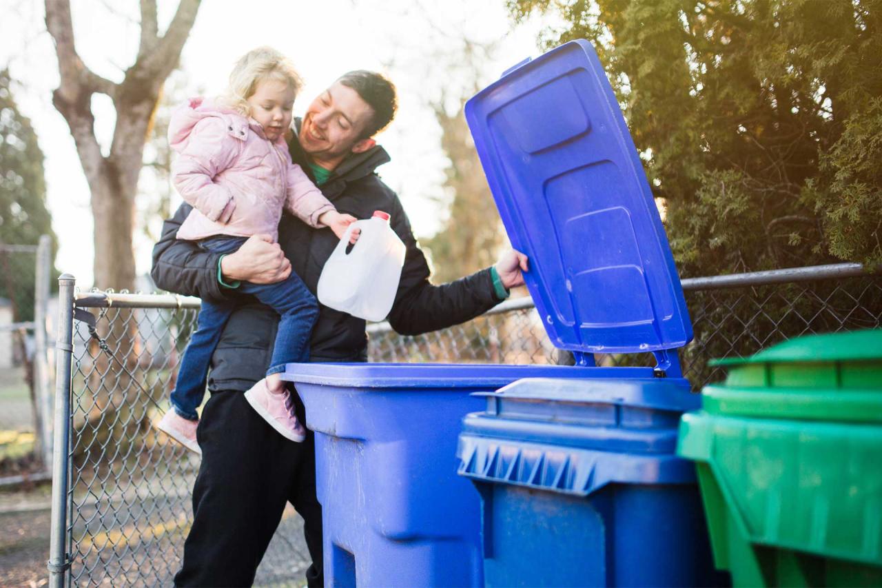 Residential Bin Cleaning and Sanitizing