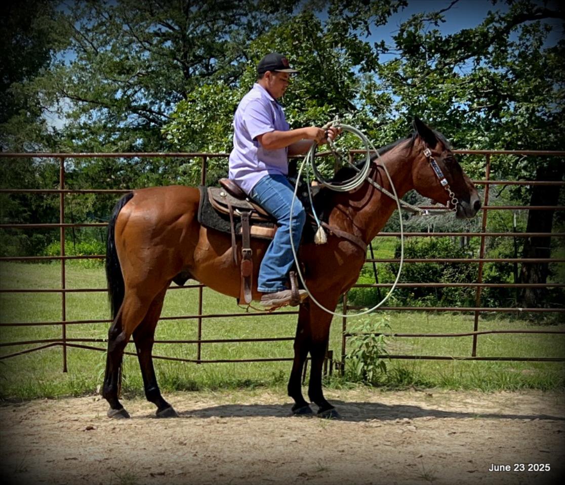 Sammy – A Comeback Story with a Heart of Gold