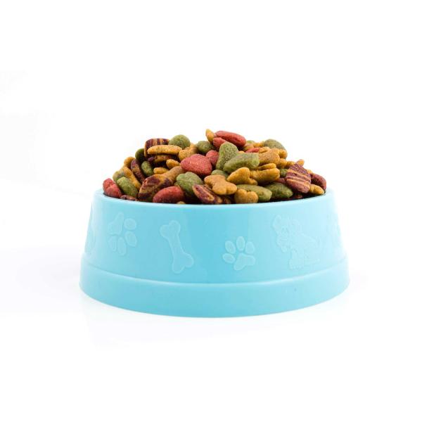 Cat Bowls