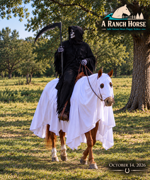 💚 Brandy | The Horse Every Parent Dreams Of! #1 Kid Horse💚
