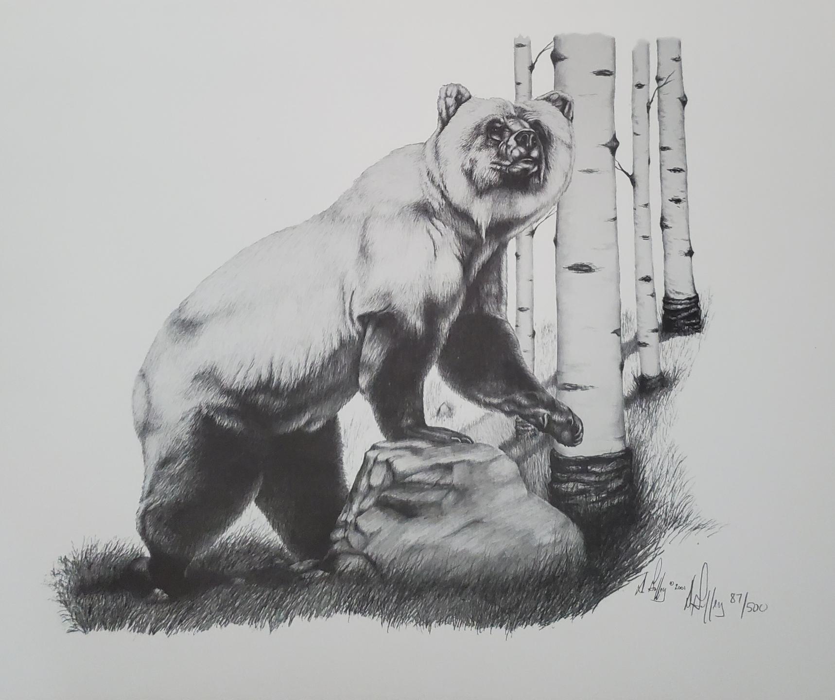 Blonde Griz