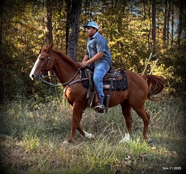💚Ranger Safe for All Ages💚