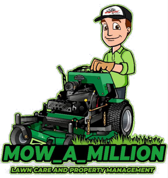 Lexington lawn online mower