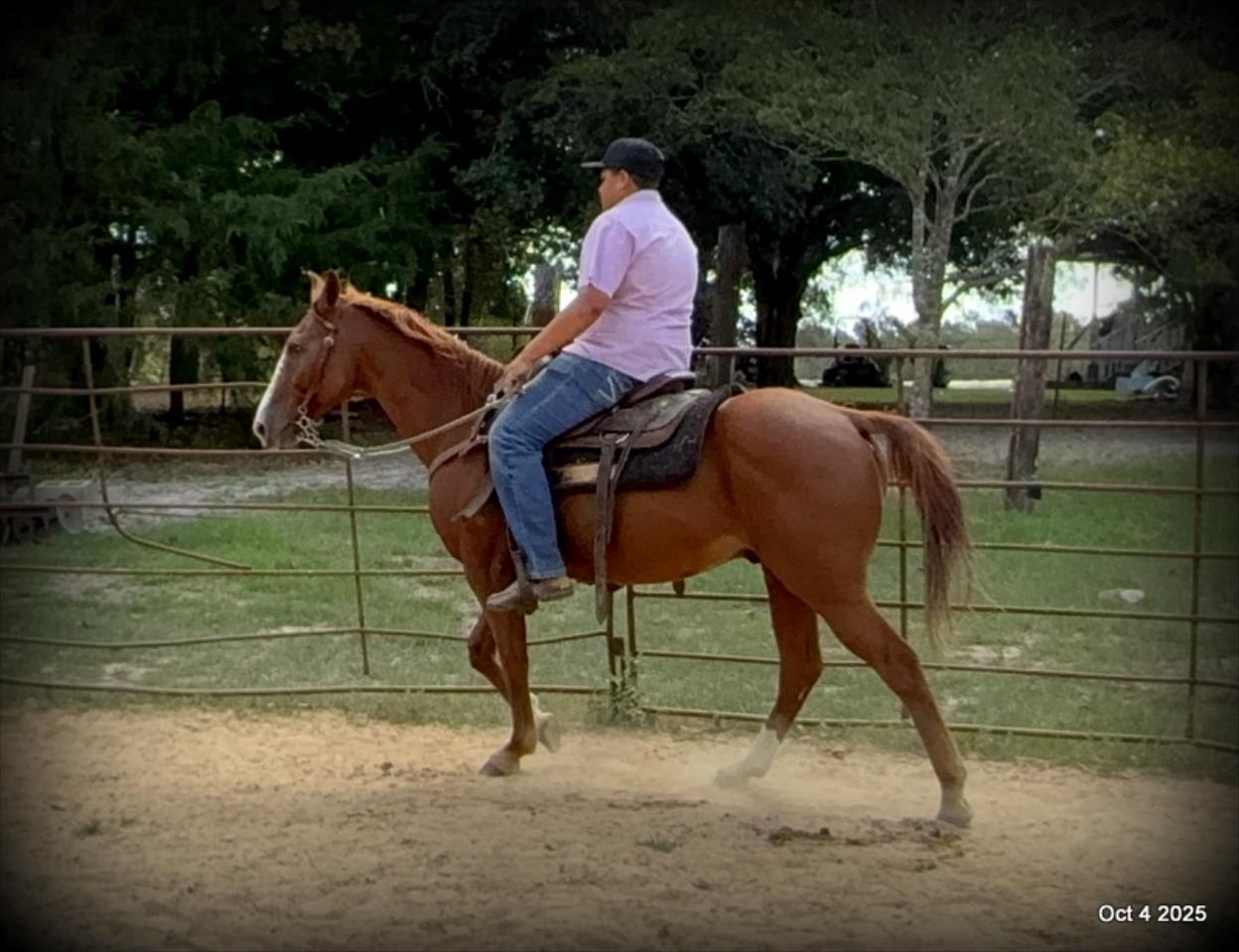 Ranger Safe for All Ages