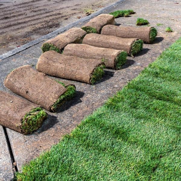 Premium Sod Planting and Installation