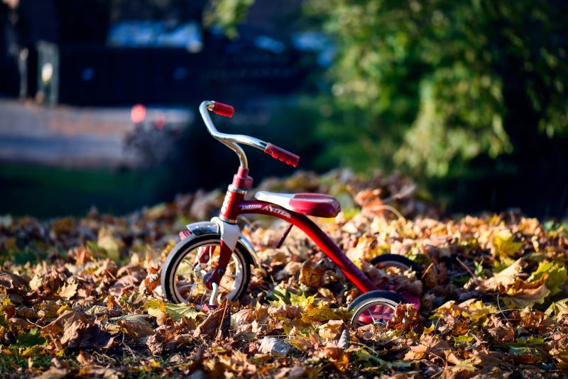 It&#39;s Time for Fall Leaf Clean Up&nbsp;