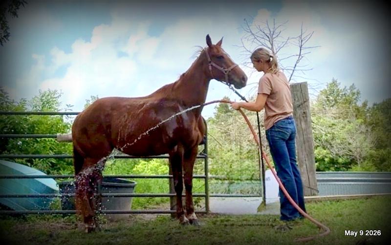 ❤️Mocha❤️Mare with a Story Still Being Written 🌟