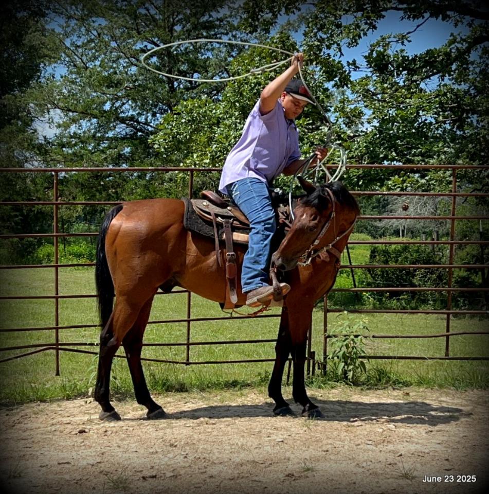Sammy – A Comeback Story with a Heart of Gold