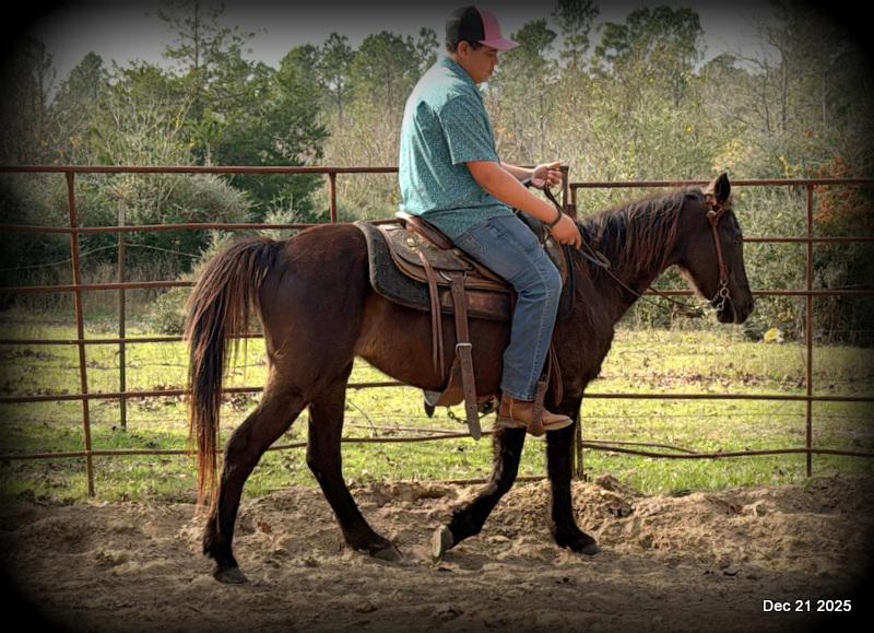 🩷❤️Pixie🩷❤️