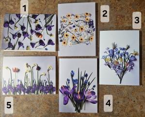 Flower Photo Card
