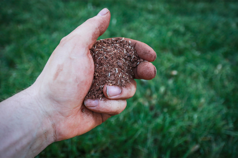 Overseeding