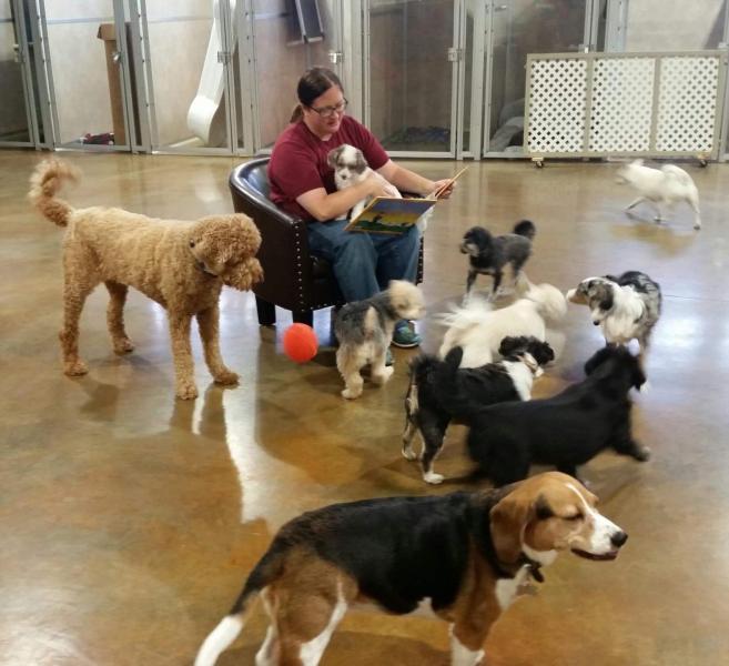 Pet Boarding Services In Sioux Falls SD Smoken Dakota Kennels