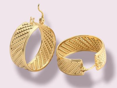 Fashion Lattice Gold Filled Hoop earrings