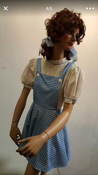 VINTAGE MANNEQUIN DOROTHY STYLE WIG AND COSTUME LOCAL PICKUP ONLY