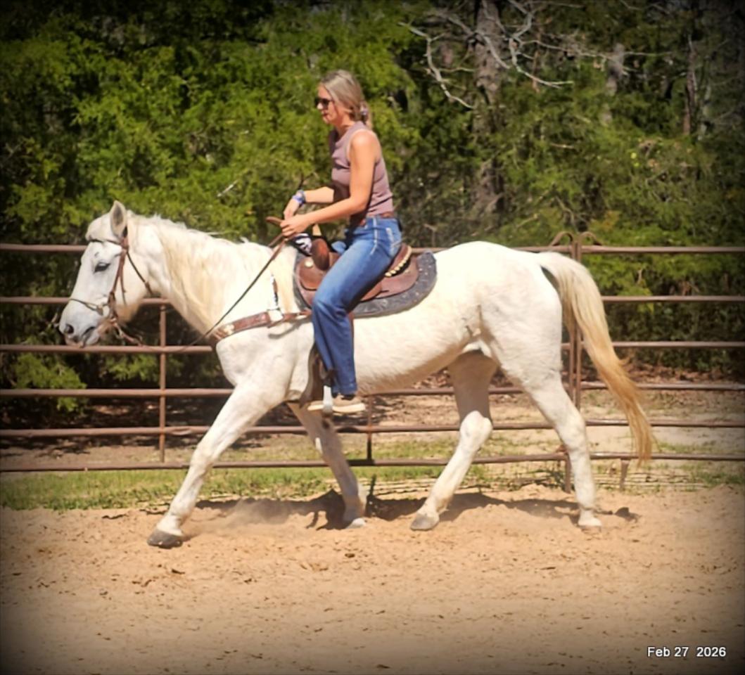 Freya Ranch Freya