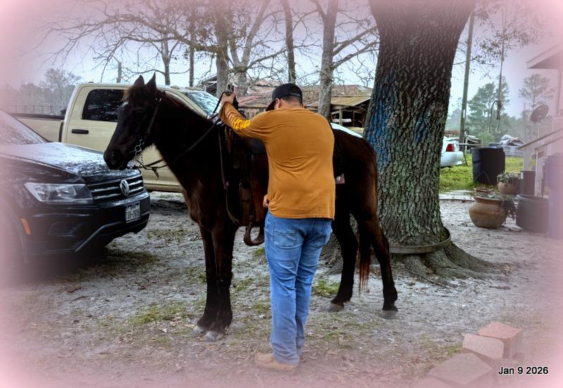 🩷❤️Pixie🩷❤️