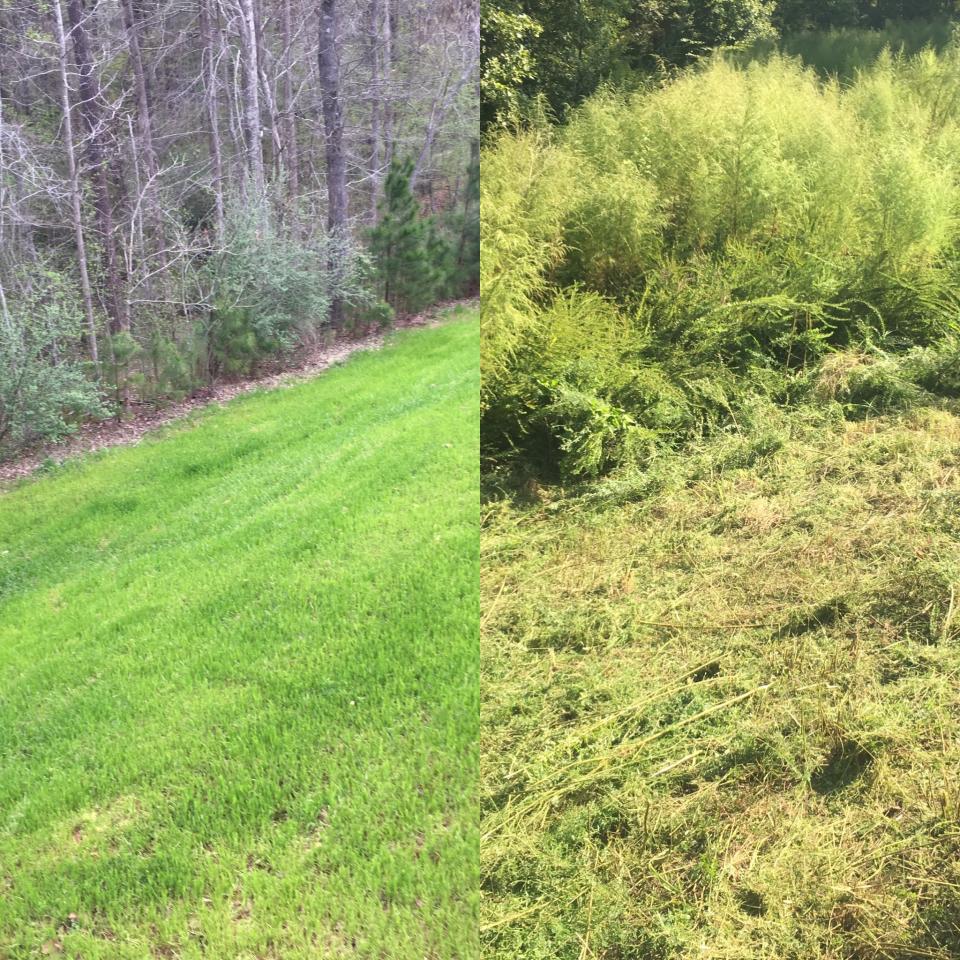 Seasonal Clean-Up