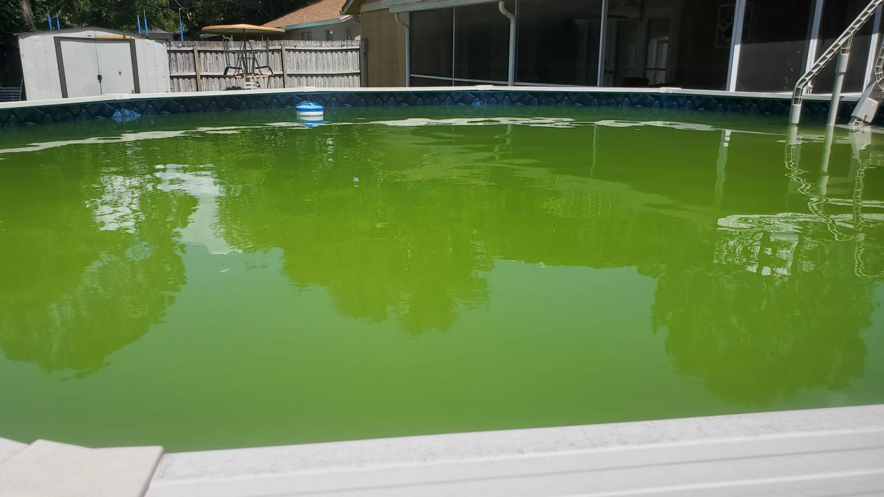 Minor Pool & Pump Repairs