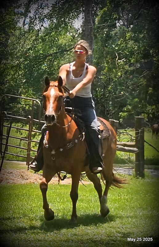 Smart Little Buzz AKA hawk