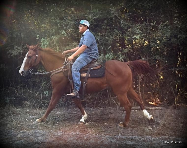 💚Ranger Safe for All Ages💚