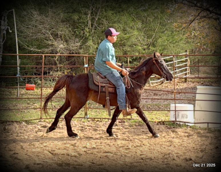 🩷❤️Pixie🩷❤️