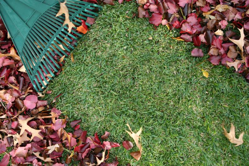 It&rsquo;s Time for Fall Clean-Up!