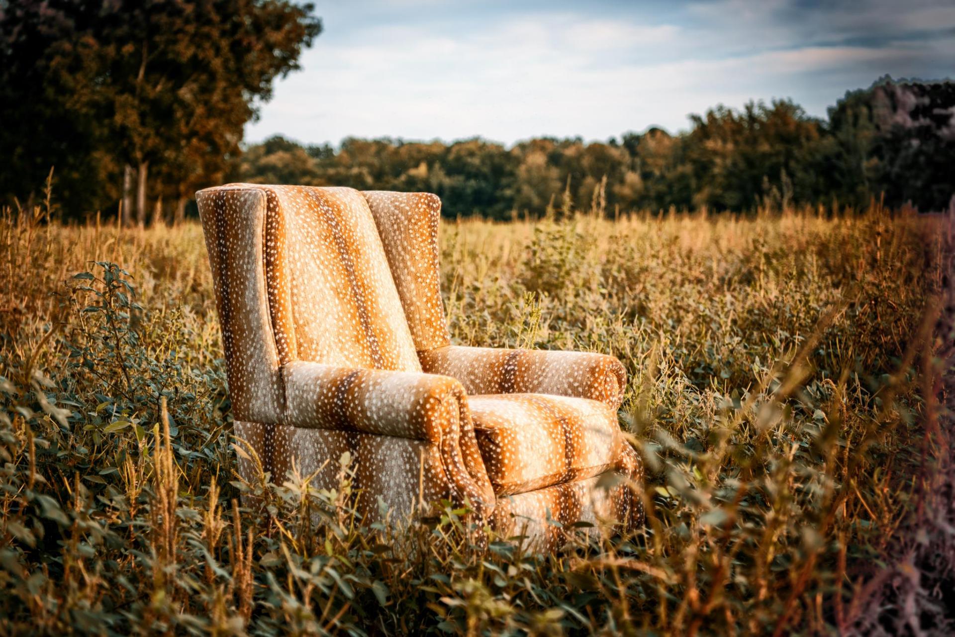 Nativ Collections Chair and Ottoman Fawn Natural