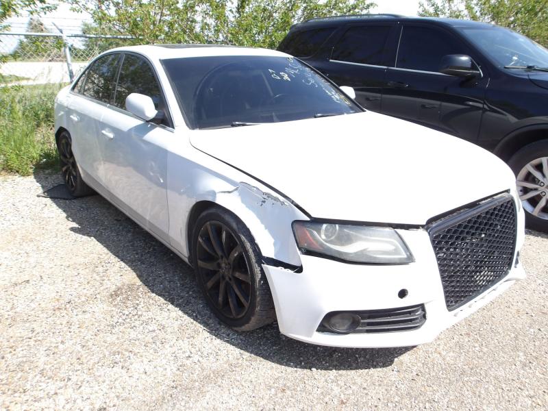 D7 - 2013 Audi A4 Premium Plus