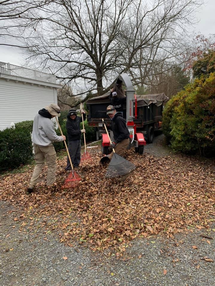 Seasonal Clean-Up