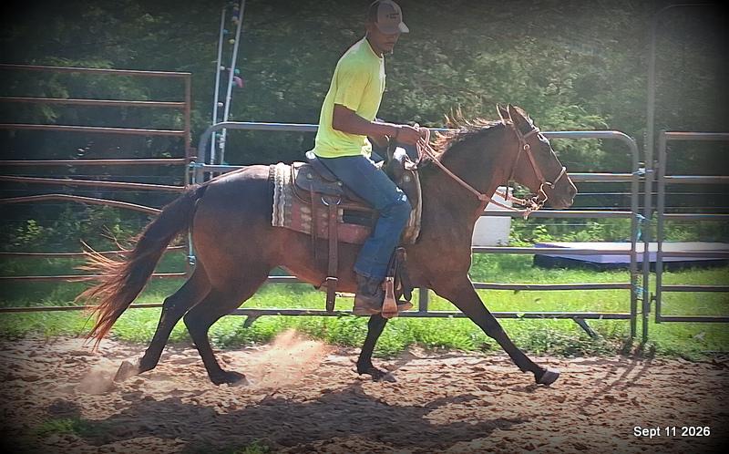 💚 Pop-tart Kid Safe & Family Safe Mare💚