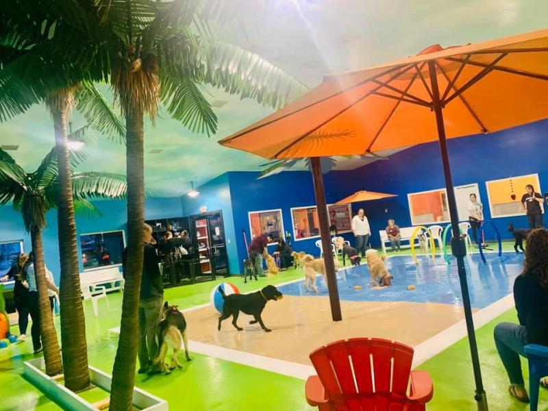 Pet Boarding Services In Sioux Falls SD Smoken Dakota Kennels