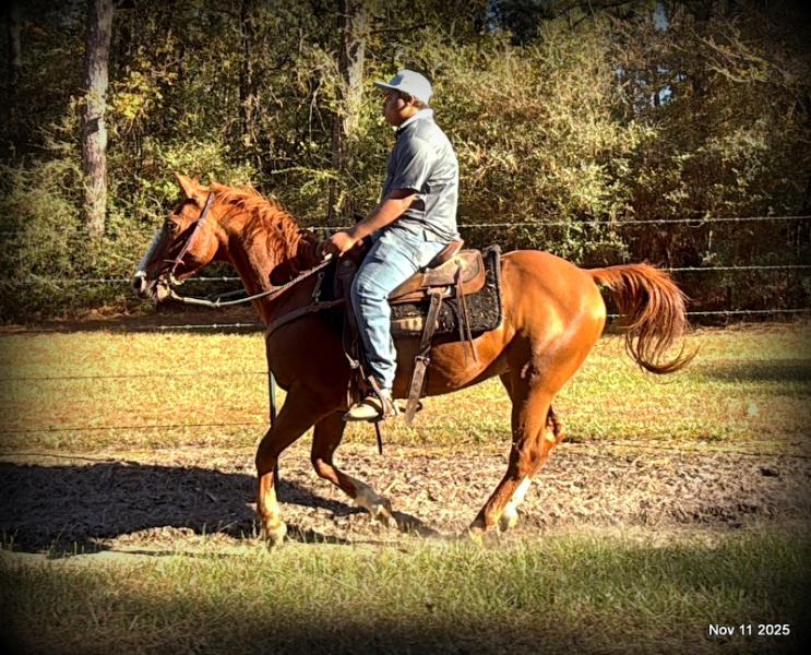 💚Ranger Safe for All Ages💚