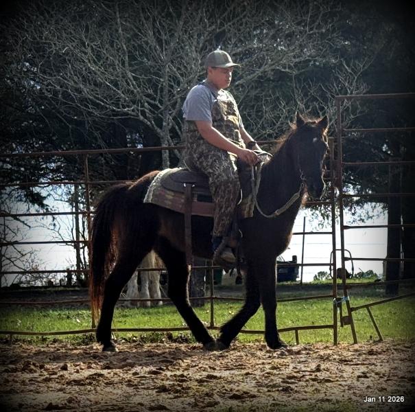 🩷❤️Pixie🩷❤️