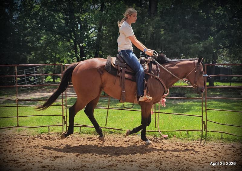 Darylslitlediablo (Diablo)