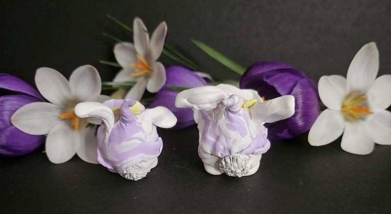 Easter Bunny Gnome Set