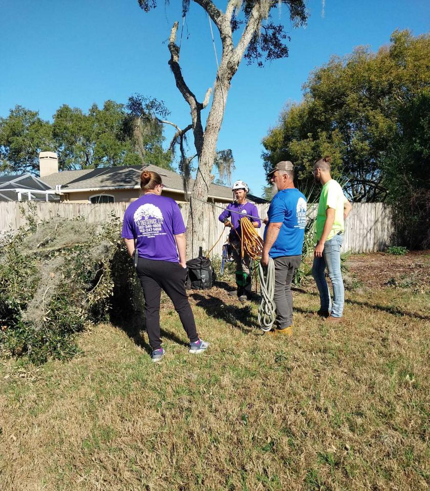 Reliable 24/7 Tree Services