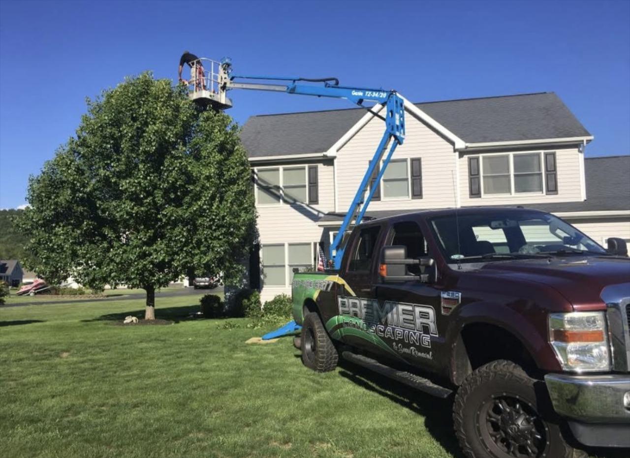 Tree Trimming
