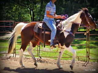 Montana – The Picture-Perfect Partner with All the Right Moves
