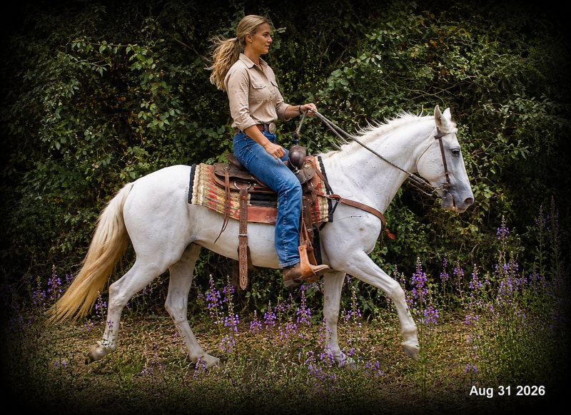 💛 🐴 Wisp • Beginner Safe, Smooth & Gentle Trail Mare 💛
