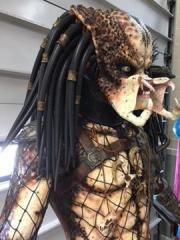 Life Size Predator Full Size