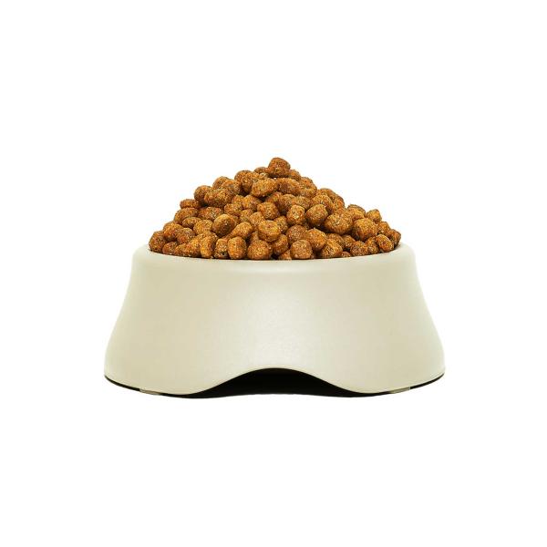 Dog Food Kibble