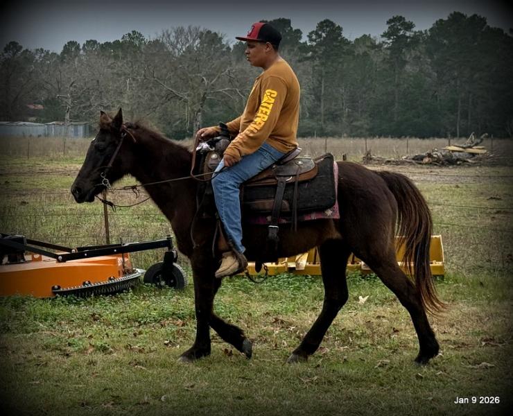 🩷❤️Pixie🩷❤️