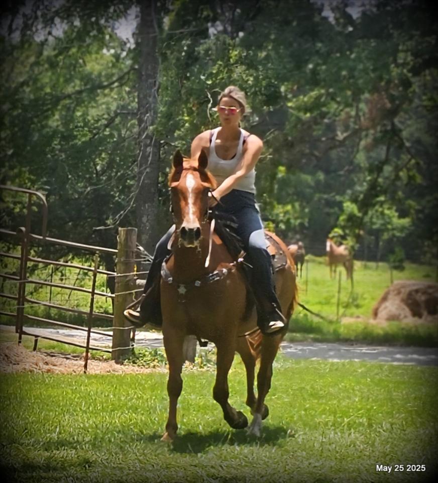 Smart Little Buzz AKA hawk