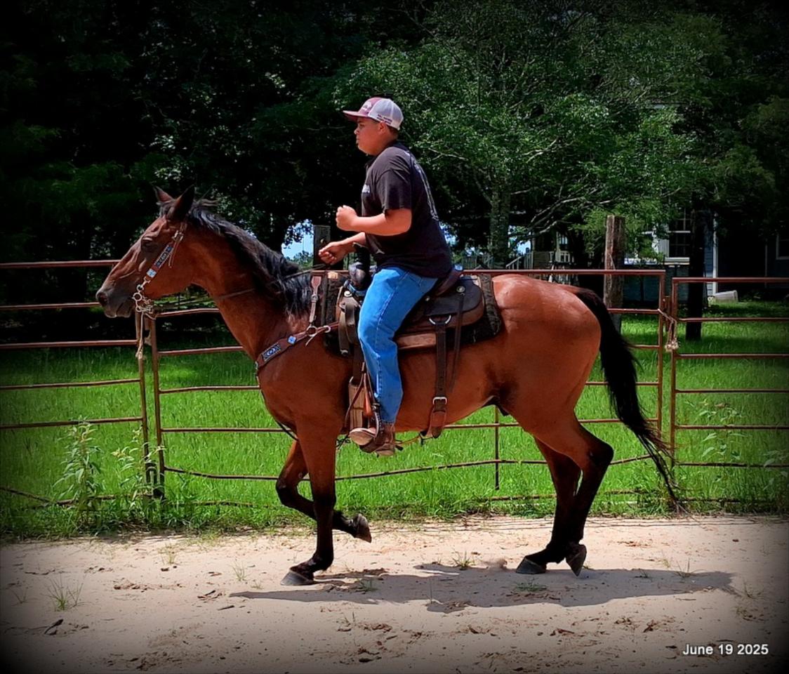Sammy – A Comeback Story with a Heart of Gold