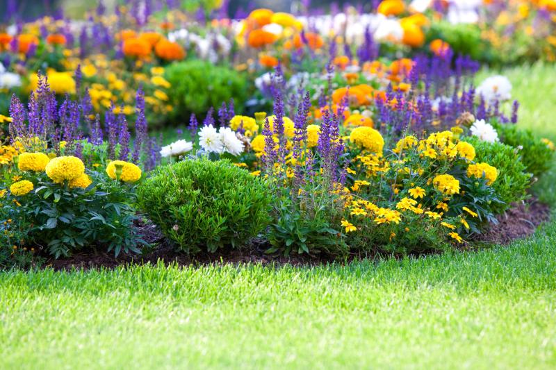 Flower Bed Planting