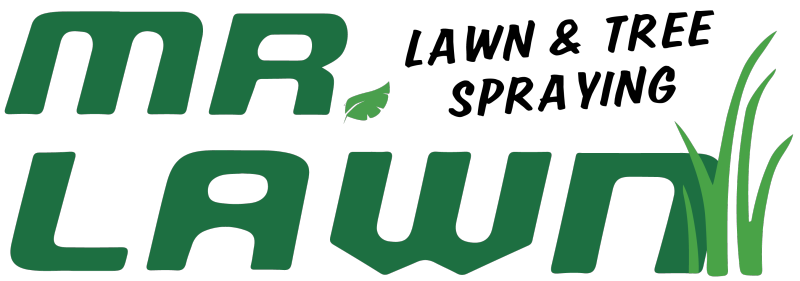 Mr. Lawn