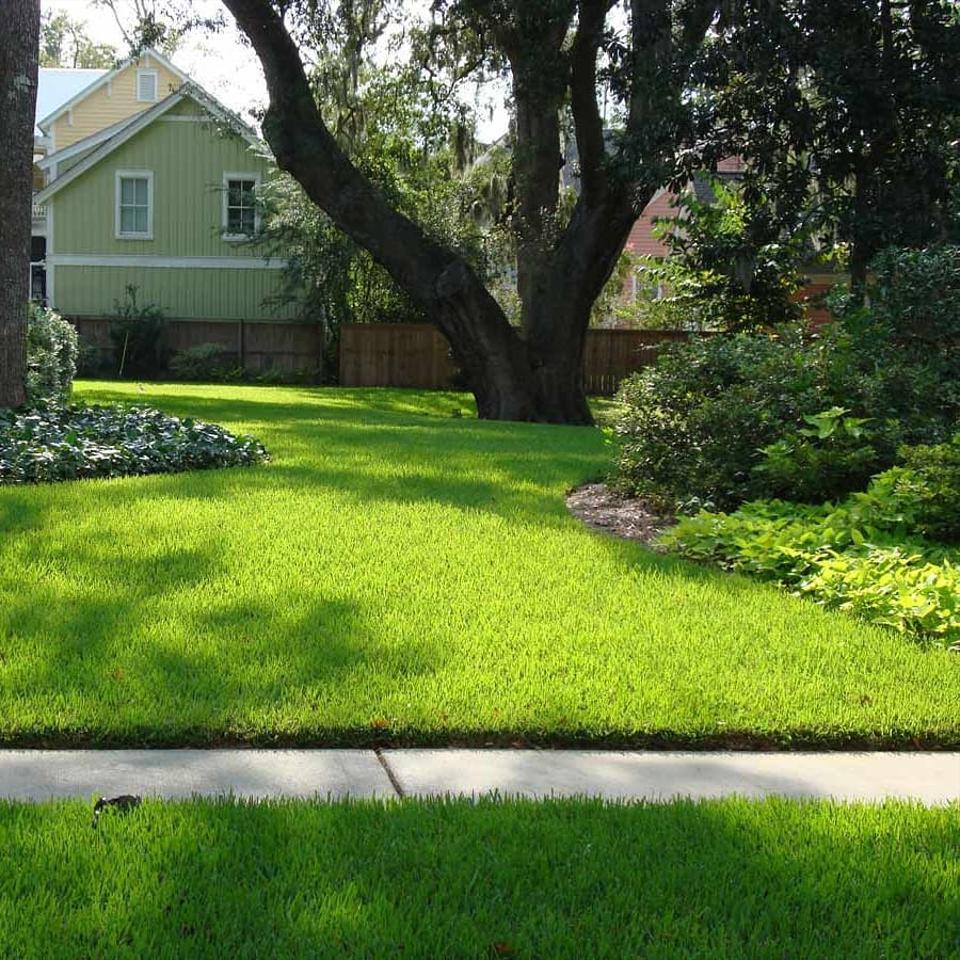 Sod installation